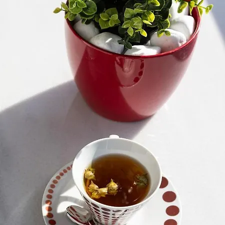 V&v In Vol. 2 Lägenhet Pýli